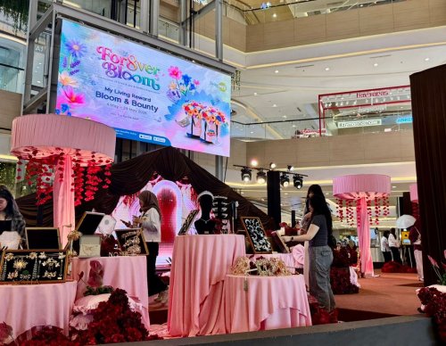 Wedding Showcase 2026.